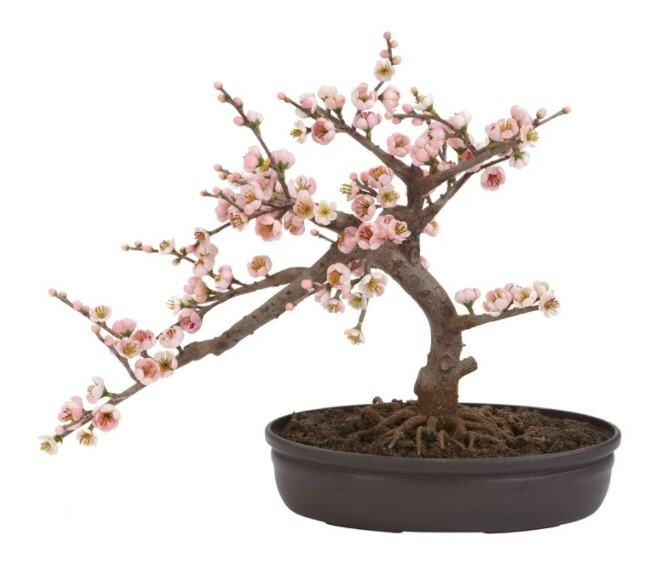 15in Cherry Blossom Bonsai Tree, Pink, Nearly Natural 4764
