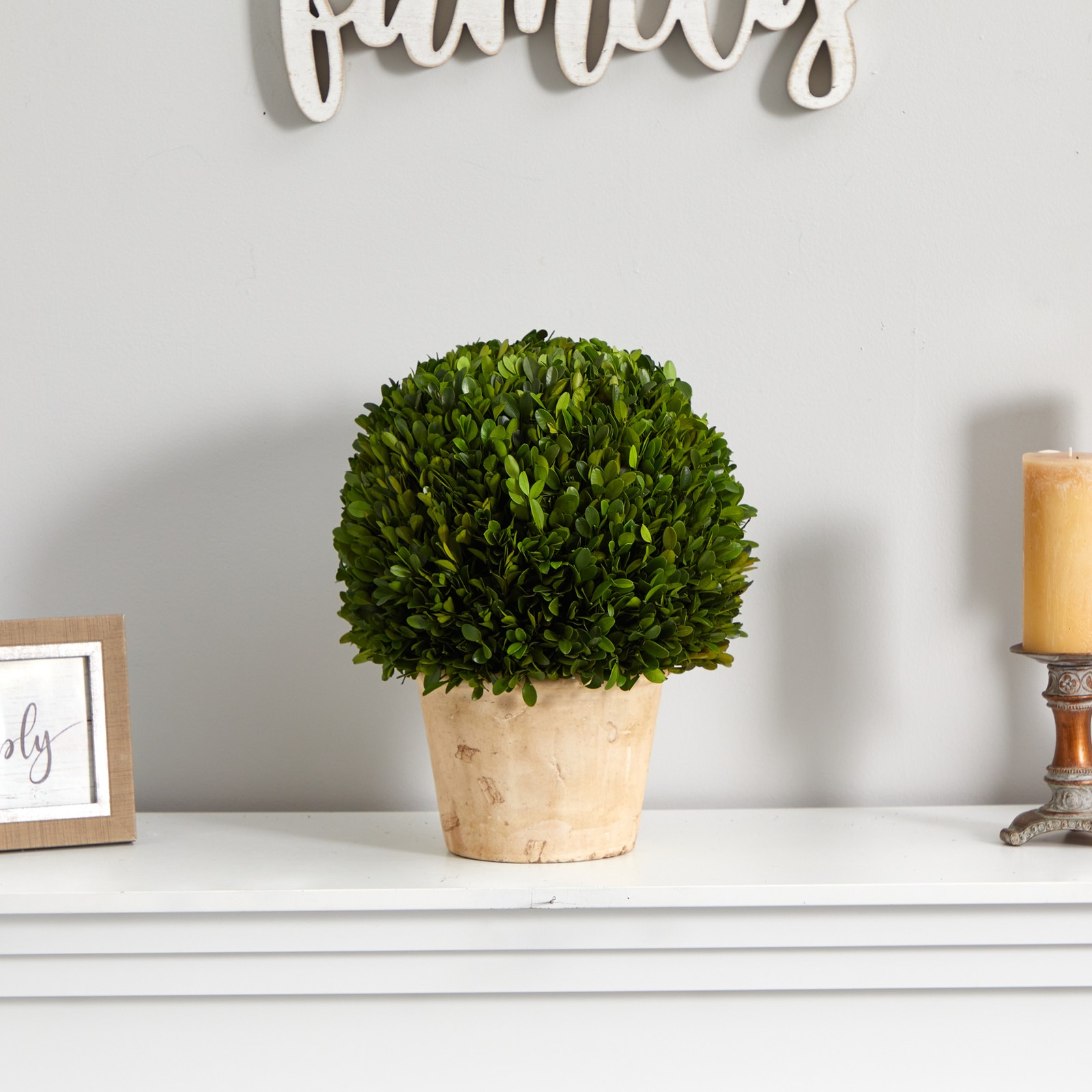 Nearly Natural 15″ Boxwood Ball Preserved Plant in Planter in Green