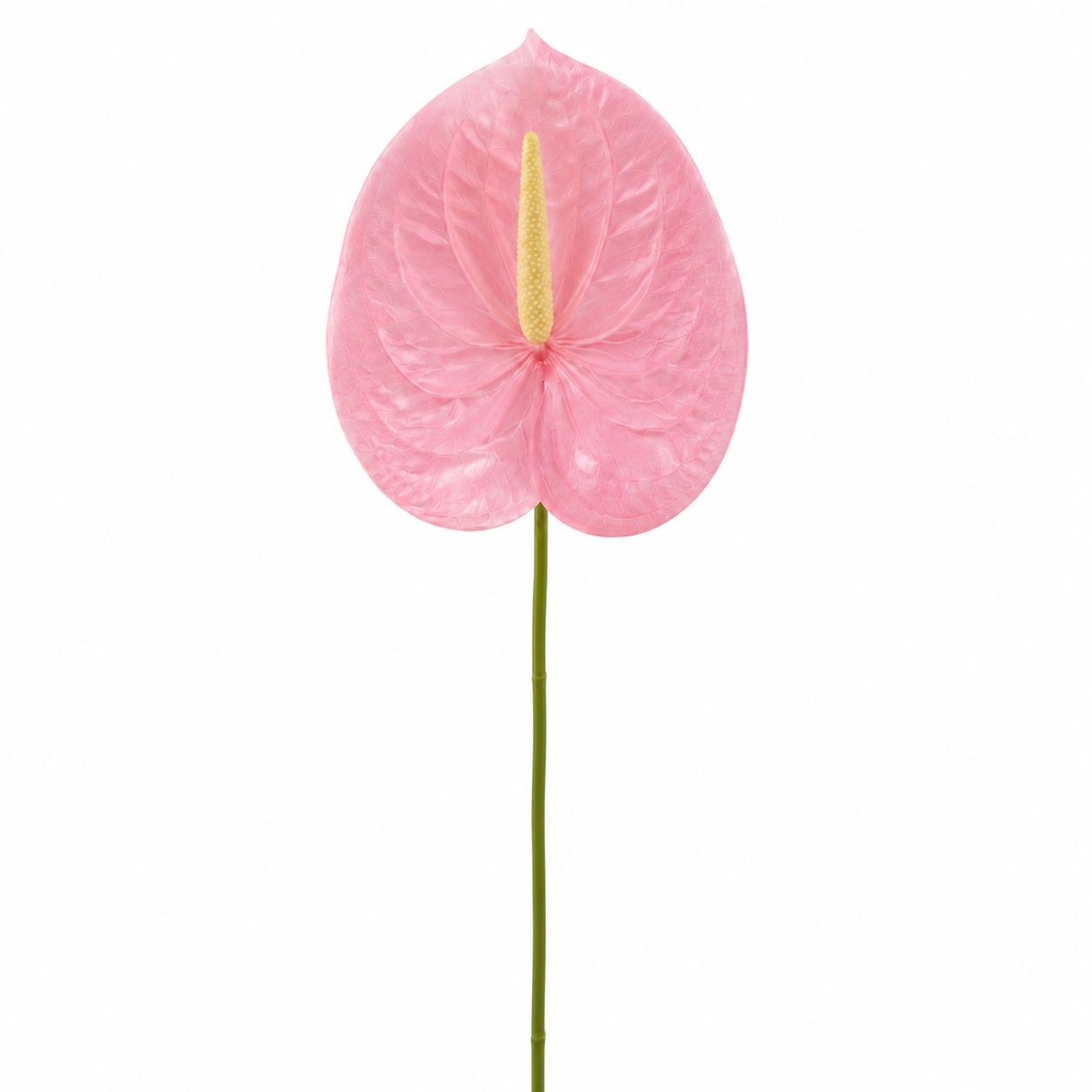 Pink Real Touch Anthurium Stem 20 Inch Faux Tropical Flower Artificial Blush Flo