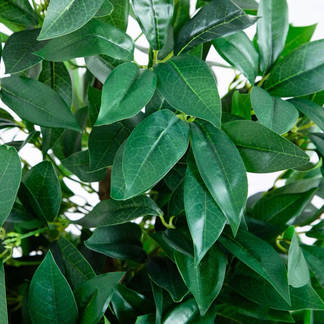 57” UV Bay Leaf Cone Topiary Tree in Slate Planter (Indoor/Outdoor)