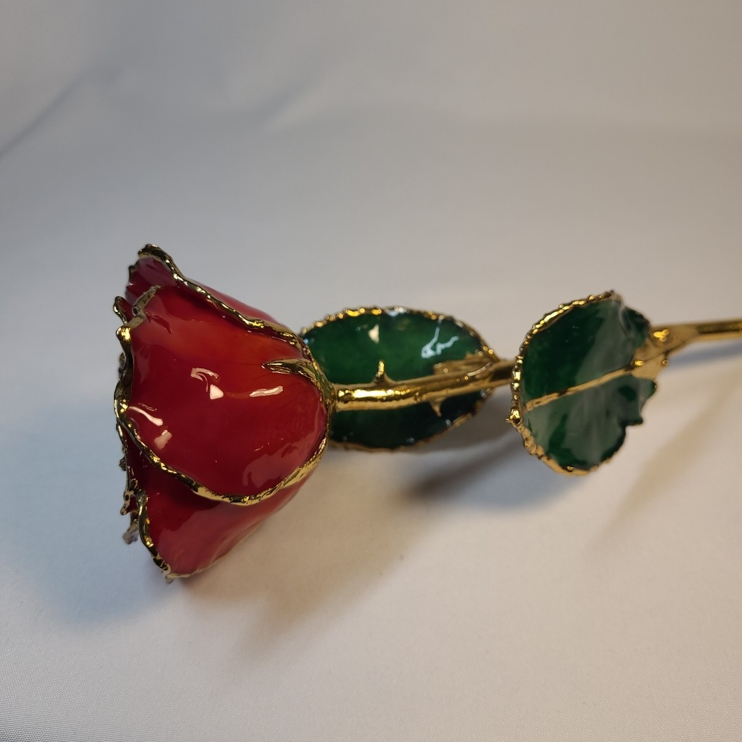 Lacquer Dipped Gold Trim Red Rose 11 in