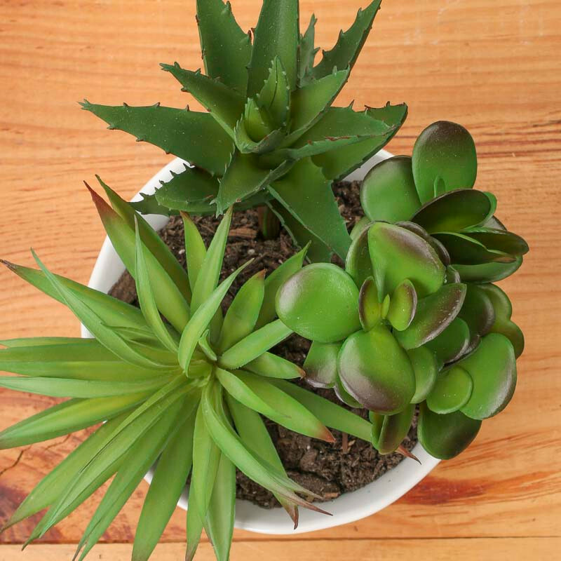 Set of 3 Assorted Style Vinyl Succulent Greenery Accessory Picks