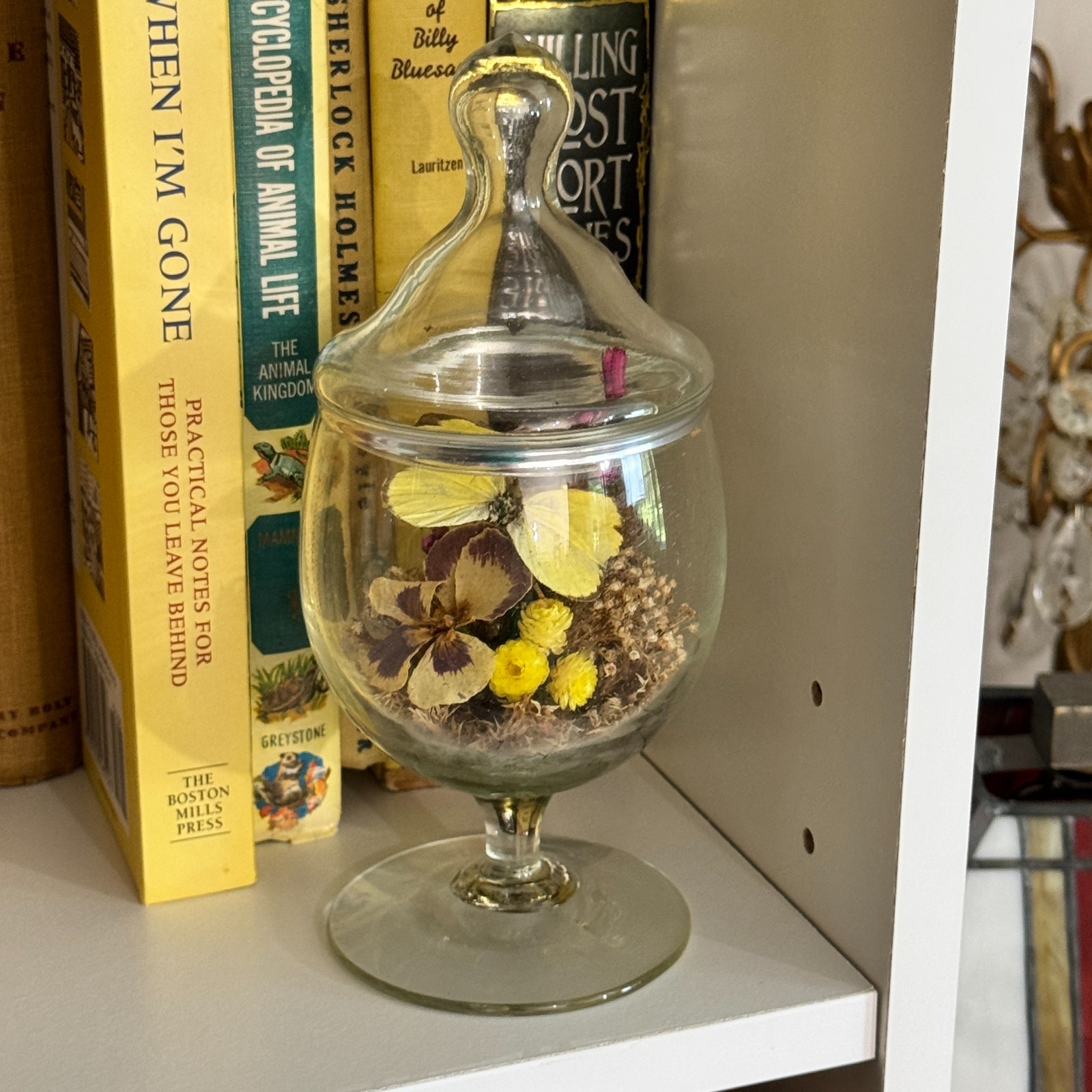 Vintage Glass Cloche Dome Dried Flowers Butterfly Terrarium Apothecary Decor