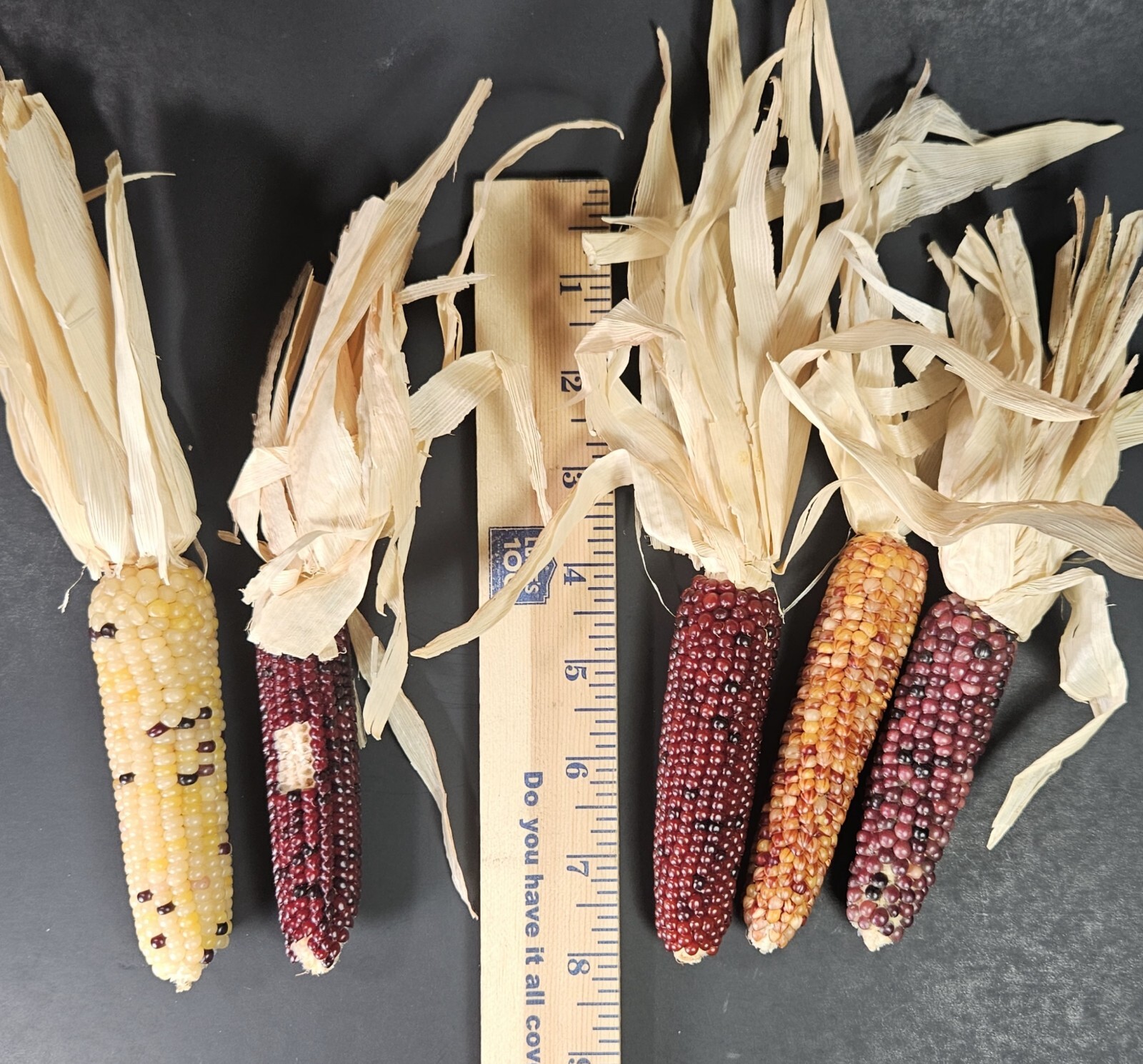 Beaded Indian Corn Cob Mix Lot Styrofoam Acrylic Yarn Thanksgiving Autumn Decor