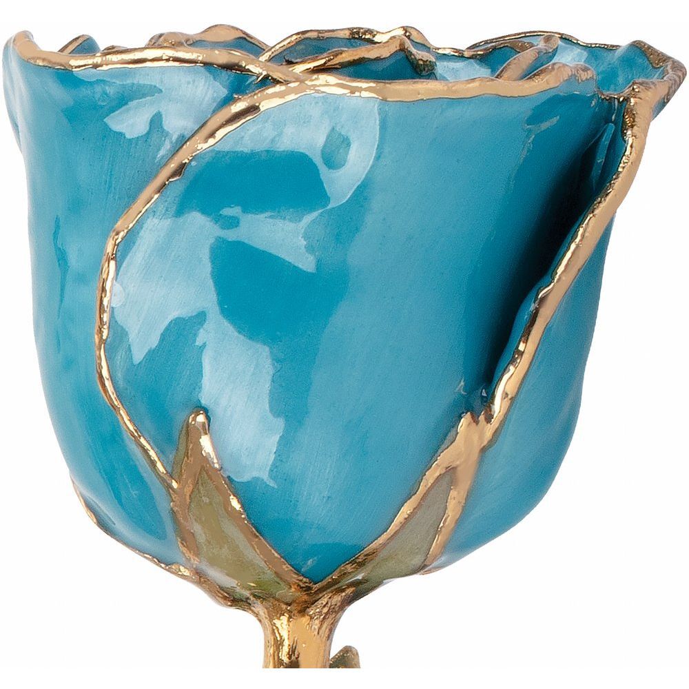 24k Gold Dipped Aquamarine Lacquer Real Rose Valentine’s Day Holiday Gift