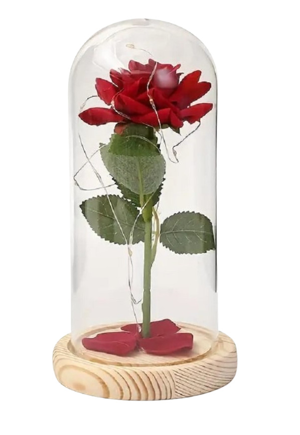 LED Red Rose in Dome Romantic Light-Up Gift for Weddings Valentine’s Anniversary
