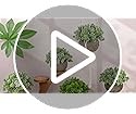 4.72 Inch Small Artificial Sage Potted Plant Decoration in Pulp Pots Fake Greene
