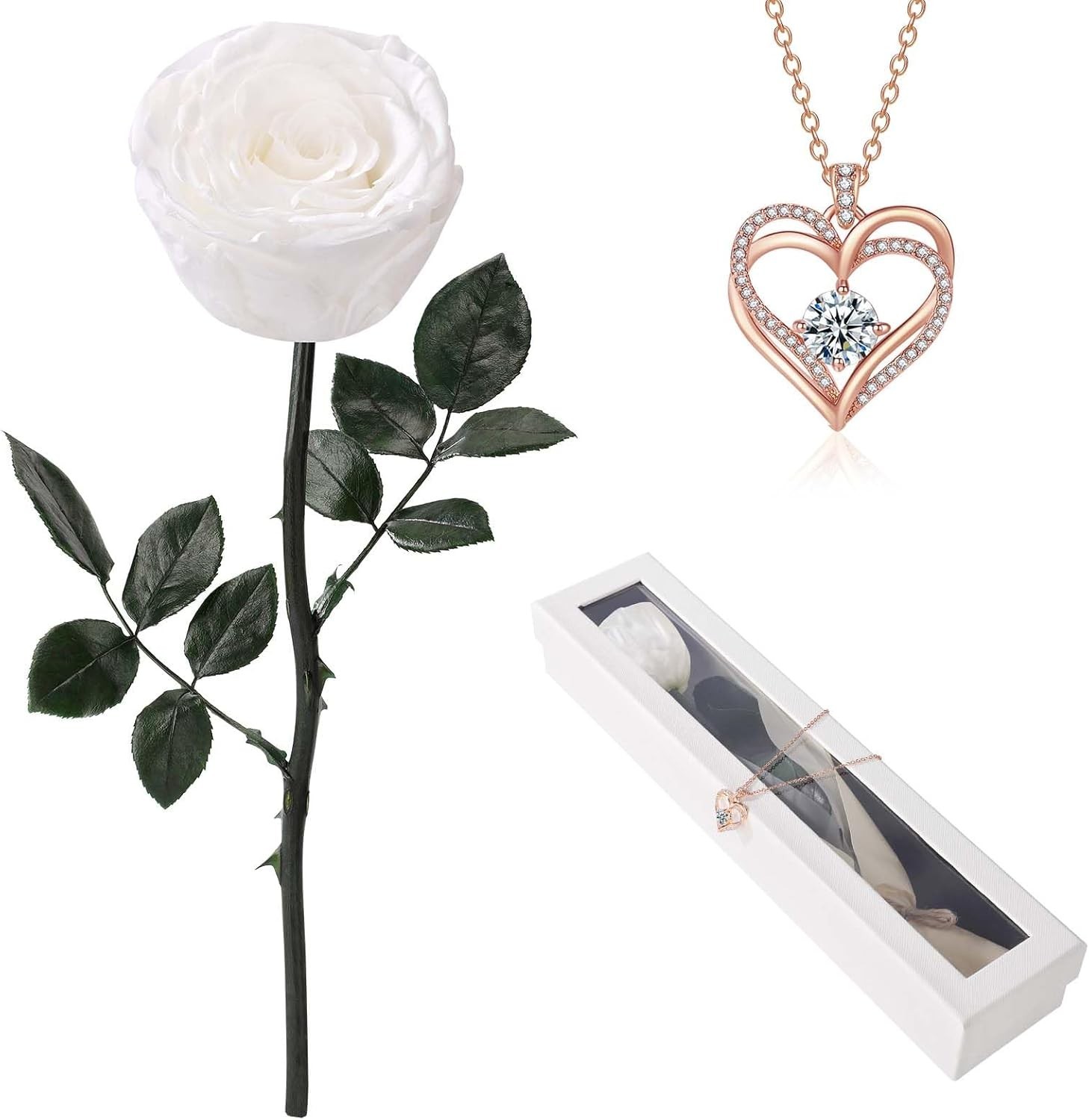 Real Preserved Rose with Sterling Silver Necklace – Ideal Birthday Gift for Her