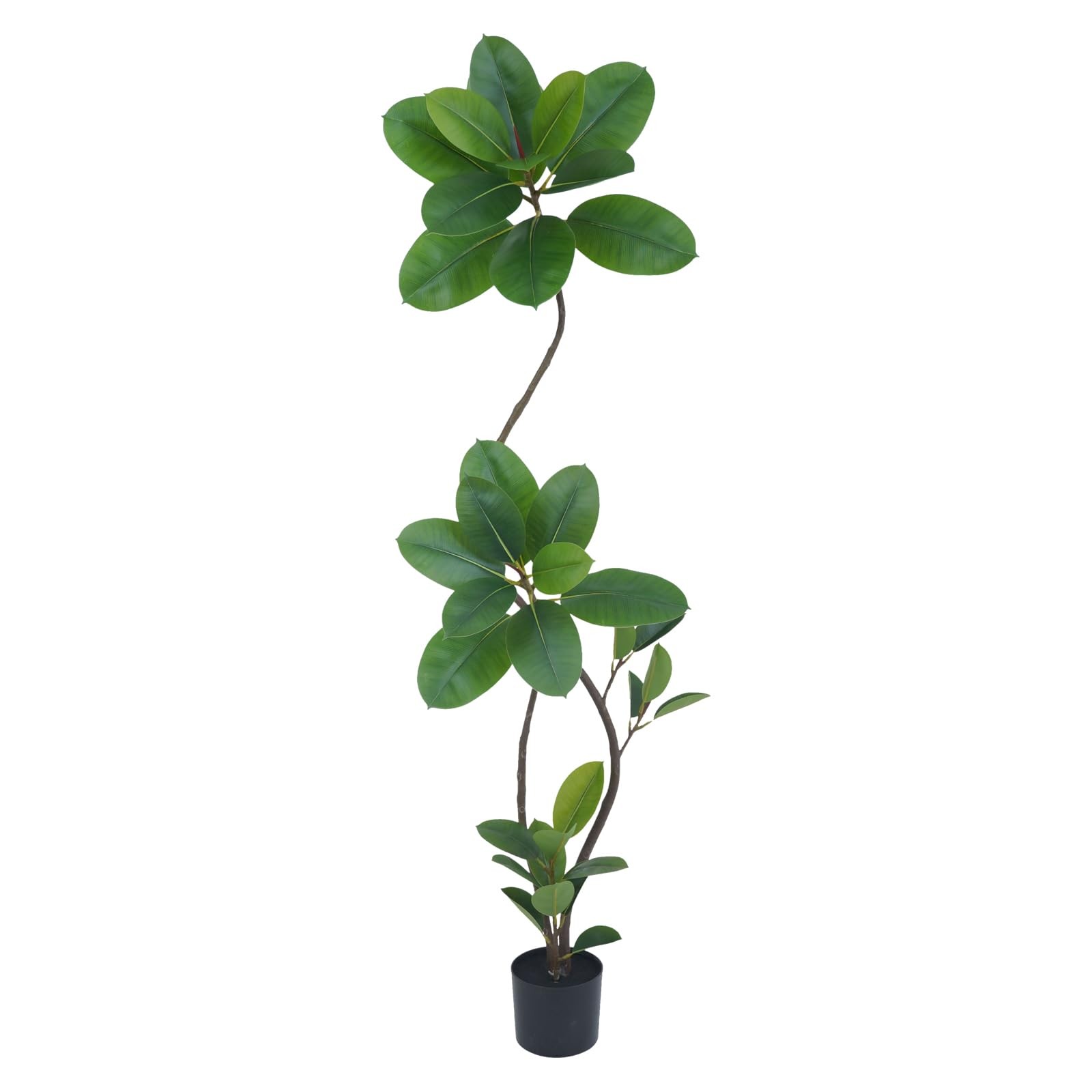 Artificial Green Rubber Tree 6FT
