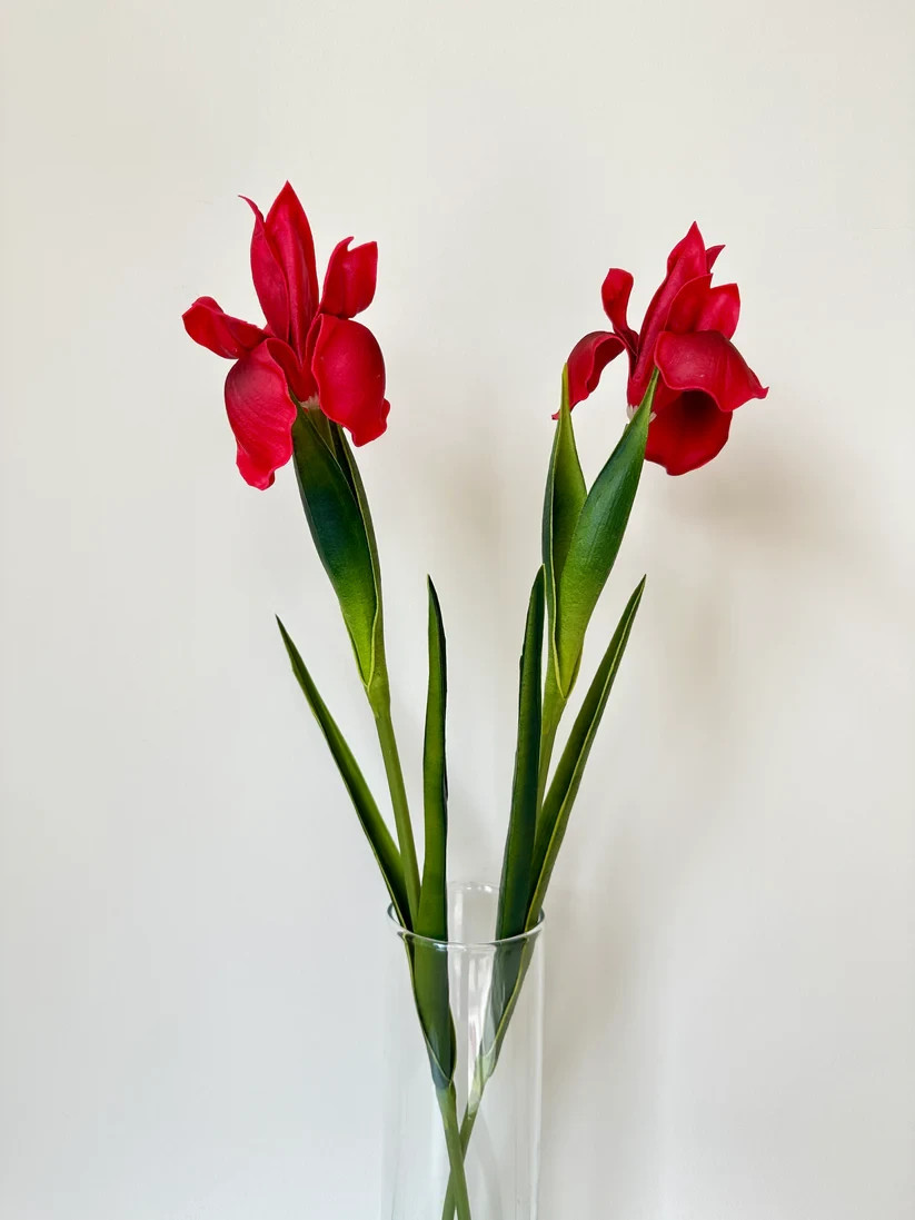 Fake Long Stem Iris Real Touch Artificial Flower (24 Stems)
