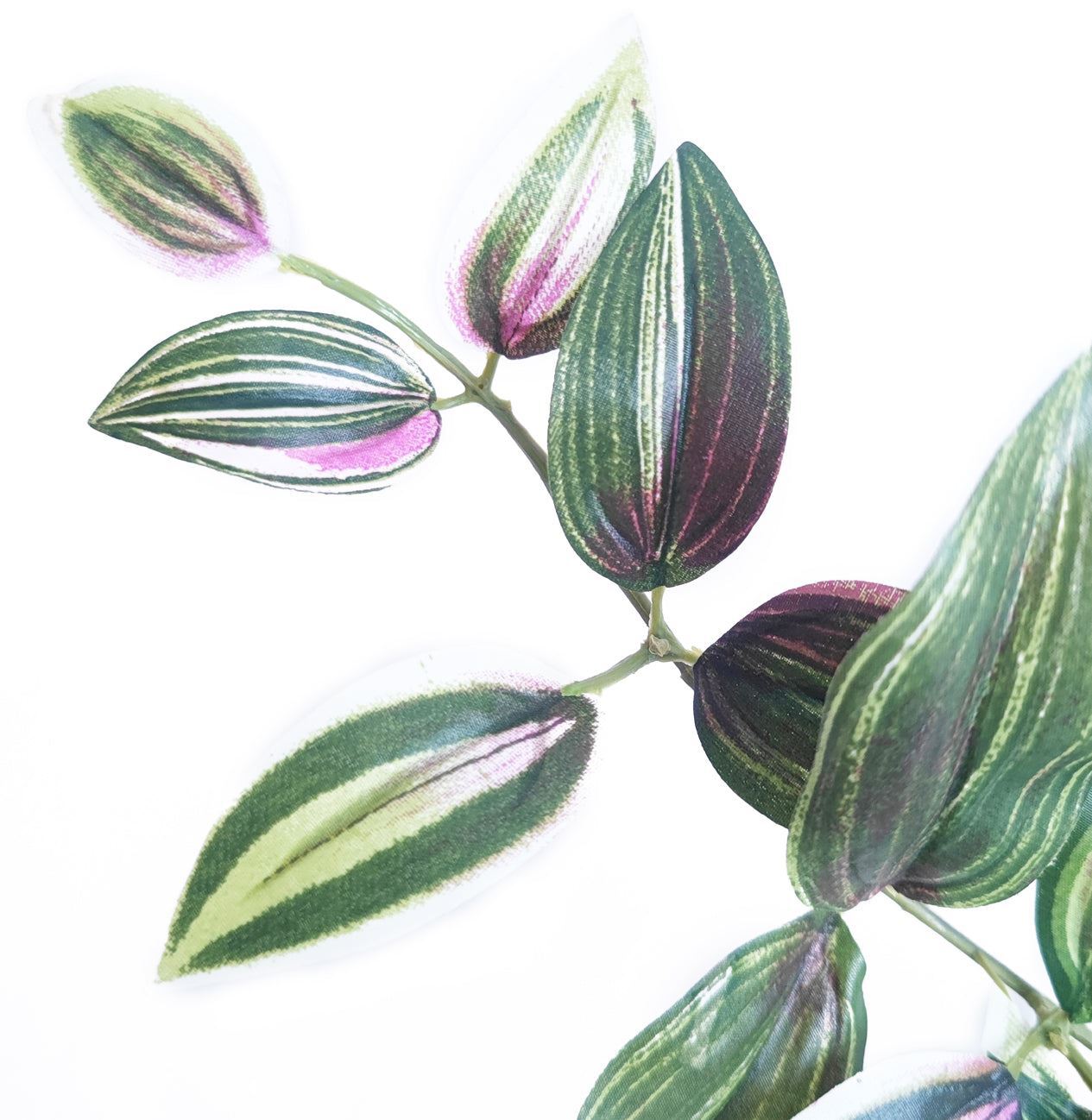 Greenery Hanging bush, Wandering Jew, 23″H, 12 stems, 183 leaves