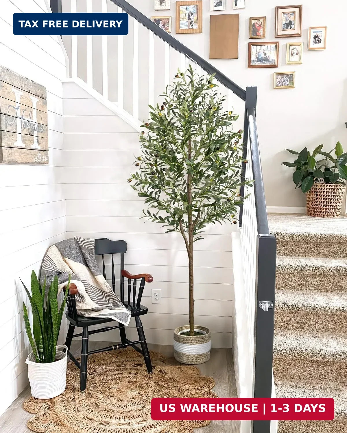 6FT Artificial Olive Tree – Indoor Tall Faux Olive Trees with Planter&Basket, La