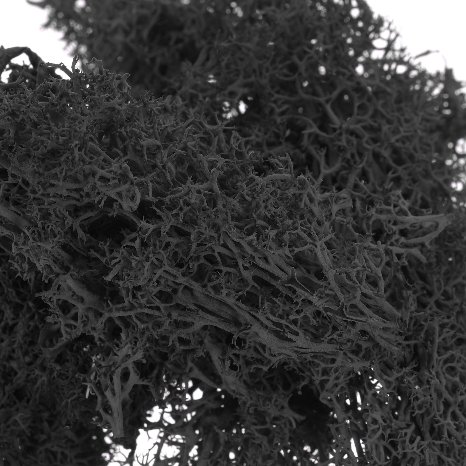 3.5 OZ Fake Moss Preserved Reindeer Moss Artificial Moss Lichen Black