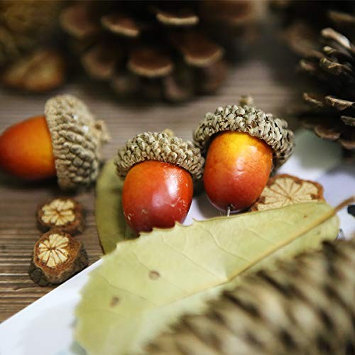 120 Pcs Apol Ornament Set – Natural Pinecones & Artificial Acorns