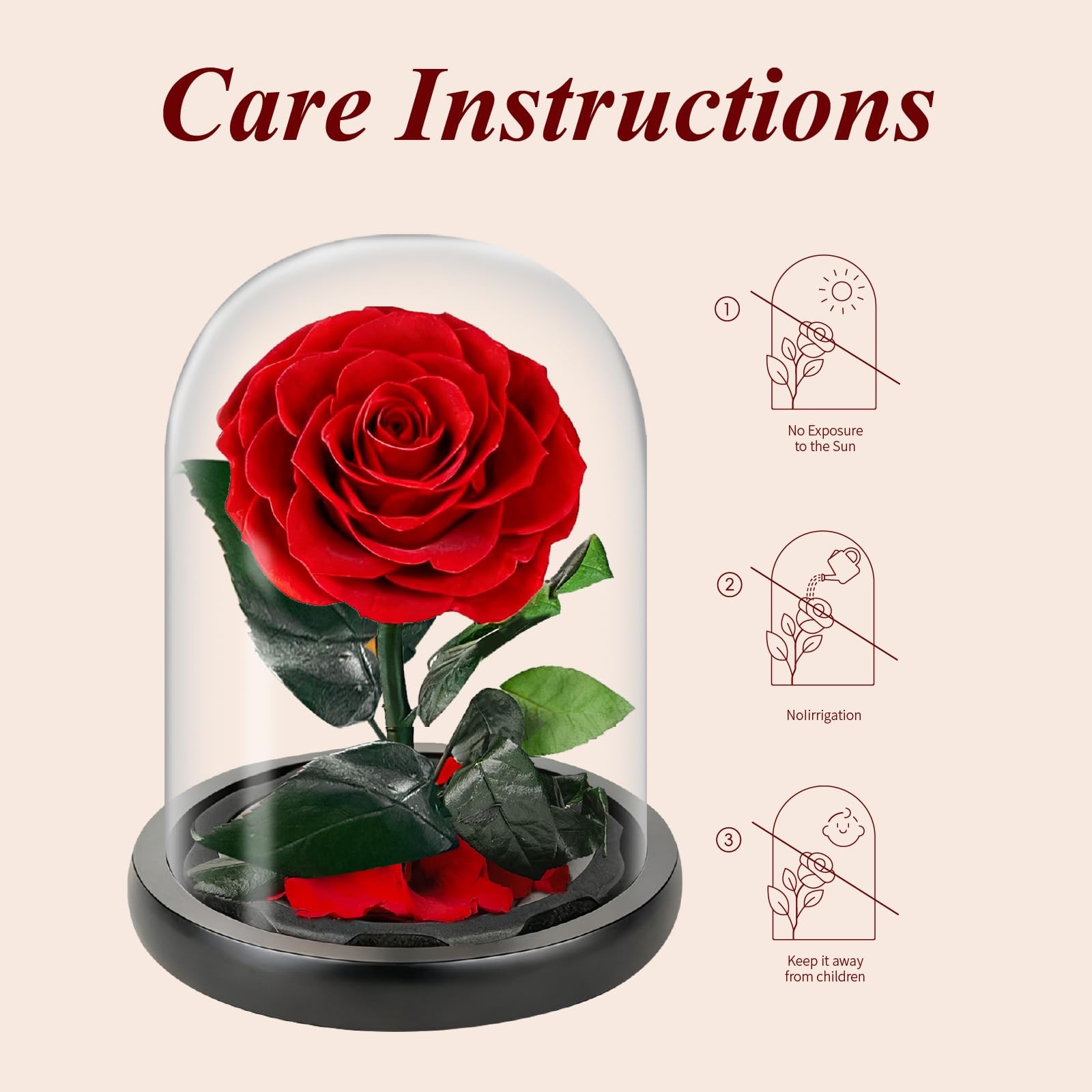 Preserved Rose in Glass Dome, Medium Forever Forever Gift, Flowers for Delive…