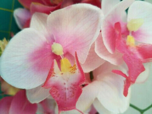 (lot of 2) NWT Artificial Silk Orchid Bouquets. Bright Ideas Joann