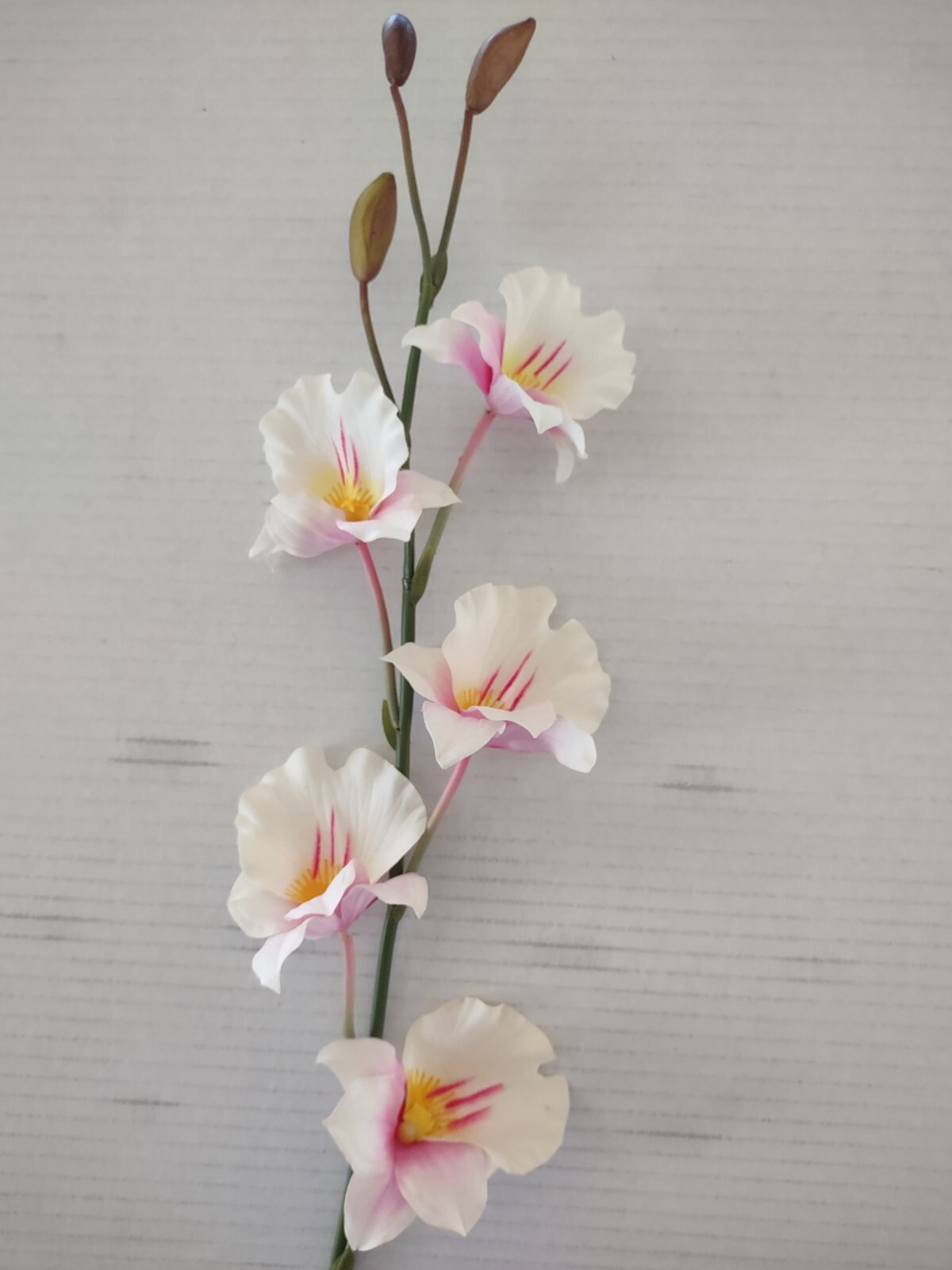 Artificial miltoniopsis orchid stem CREAM and PINK BLUSH