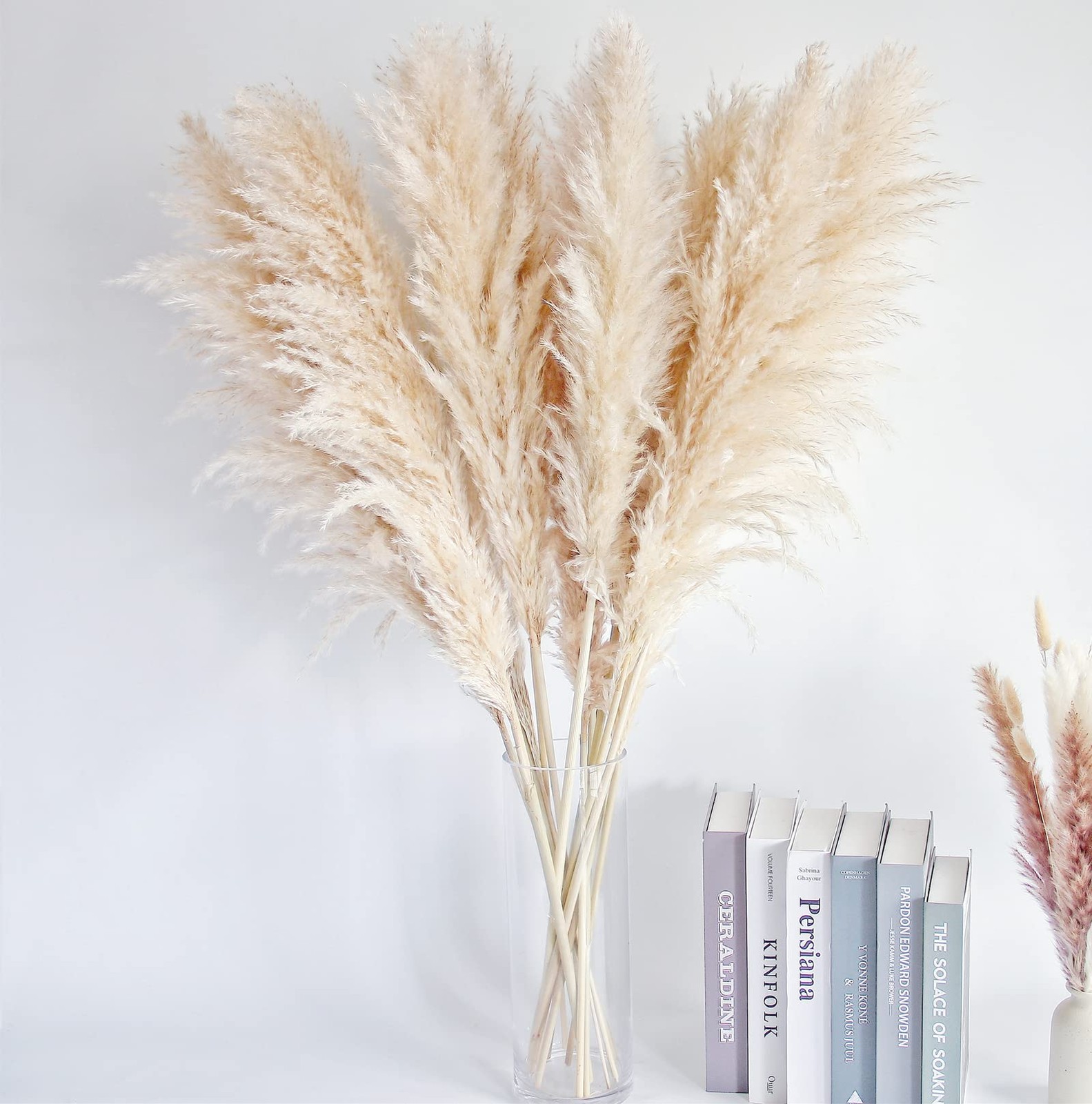 40″ inch 10 Stems Natural Pampas Grass Decor Tall, pompas Grass, Tall Pampas …