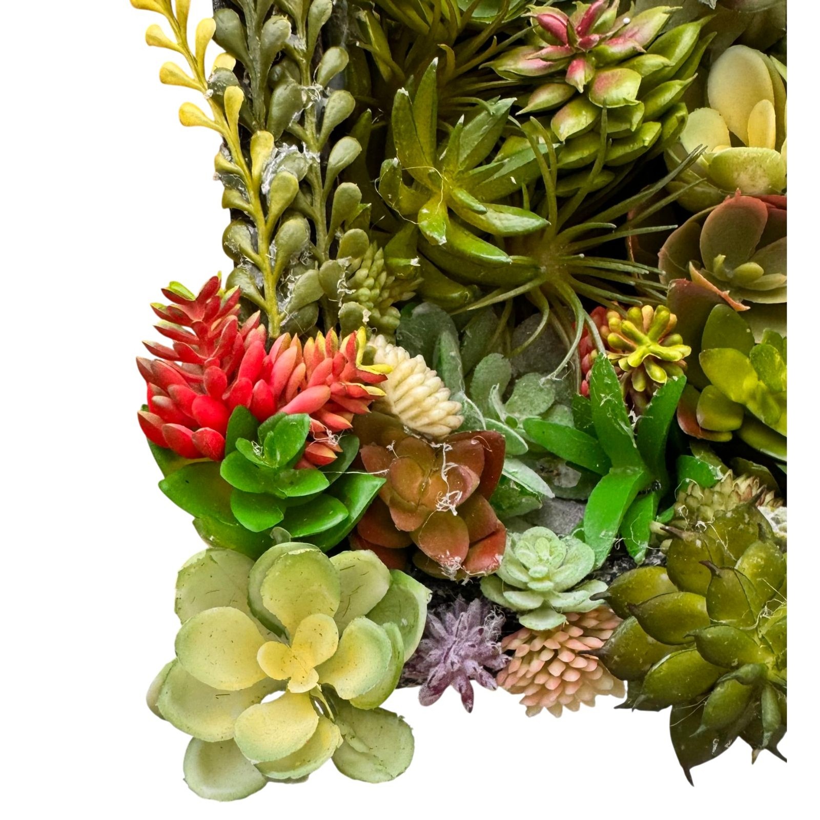 Succulent Wall Art Boho Faux Botanical Decor 8x8x2