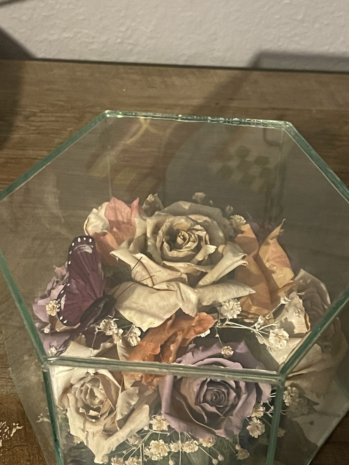Vintage Freeze Dried Roses W/Butterfly In A Glass Display Case
