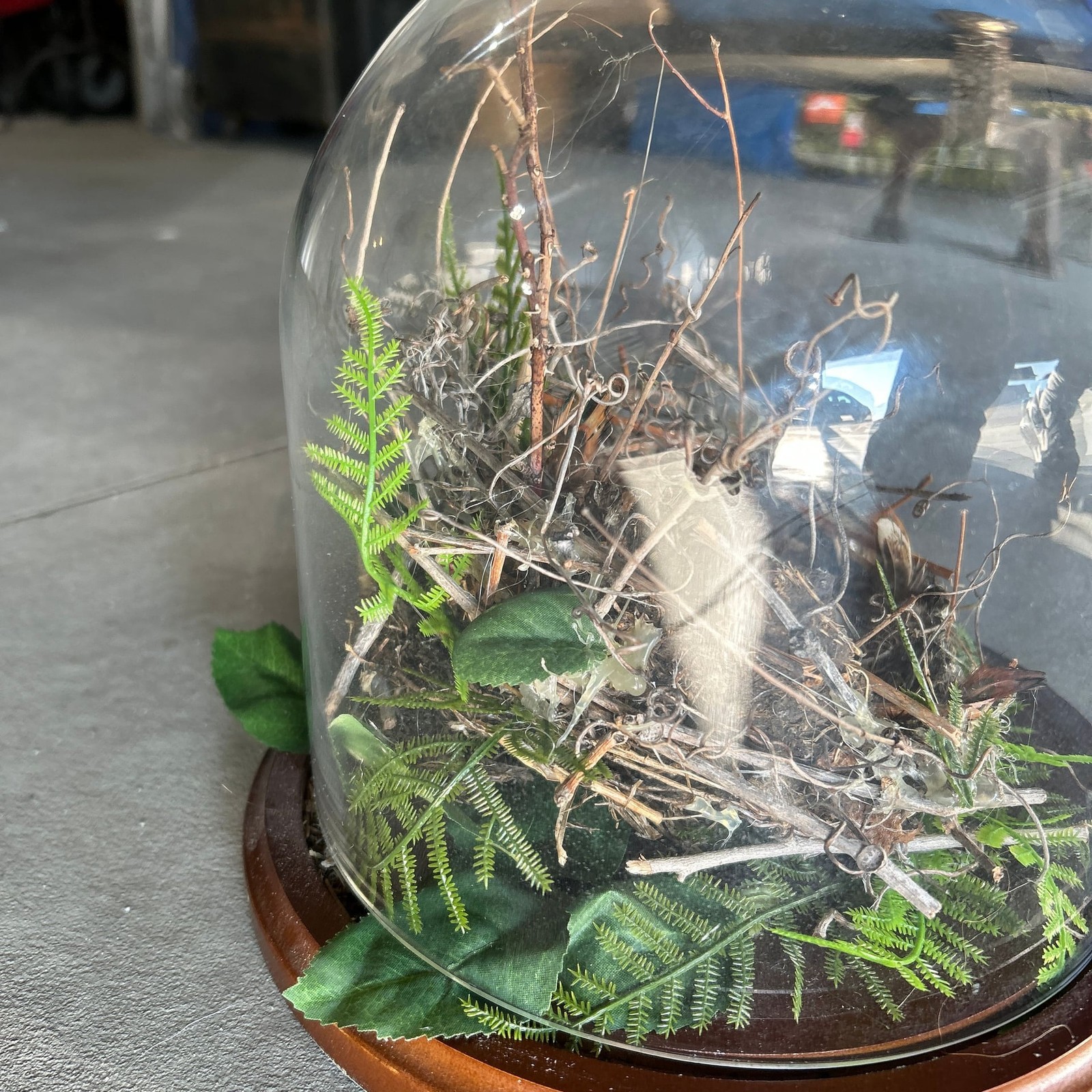 Handcrafted Bird Nest Terrarium Cloche with Faux Speckled Eggs and Forest Greene