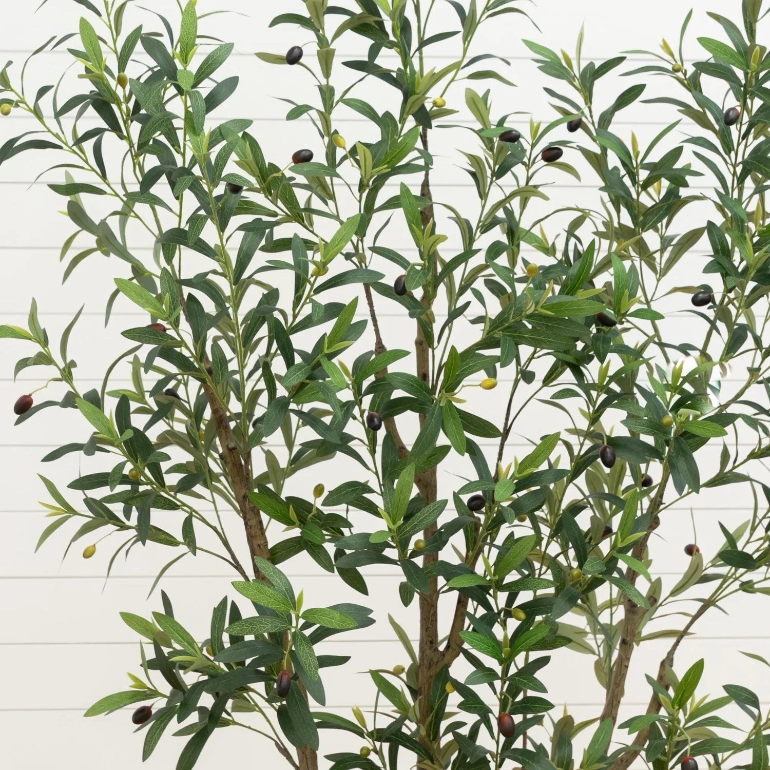 7′ Artificial Olive Tree in White Decorative Planter