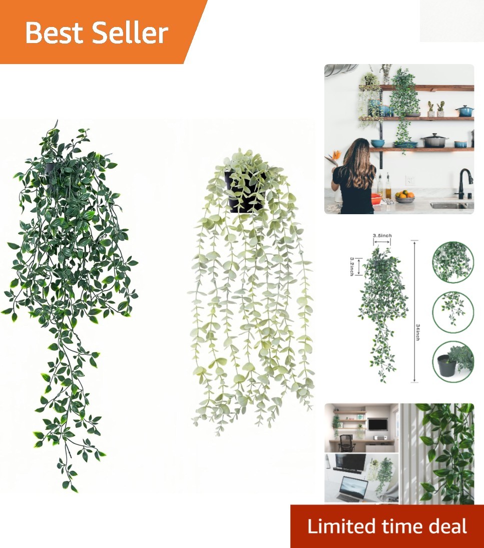 Artificial Eucalyptus & Mandala Plants – 2-pack Boho Decor for Indoor & Outdoor