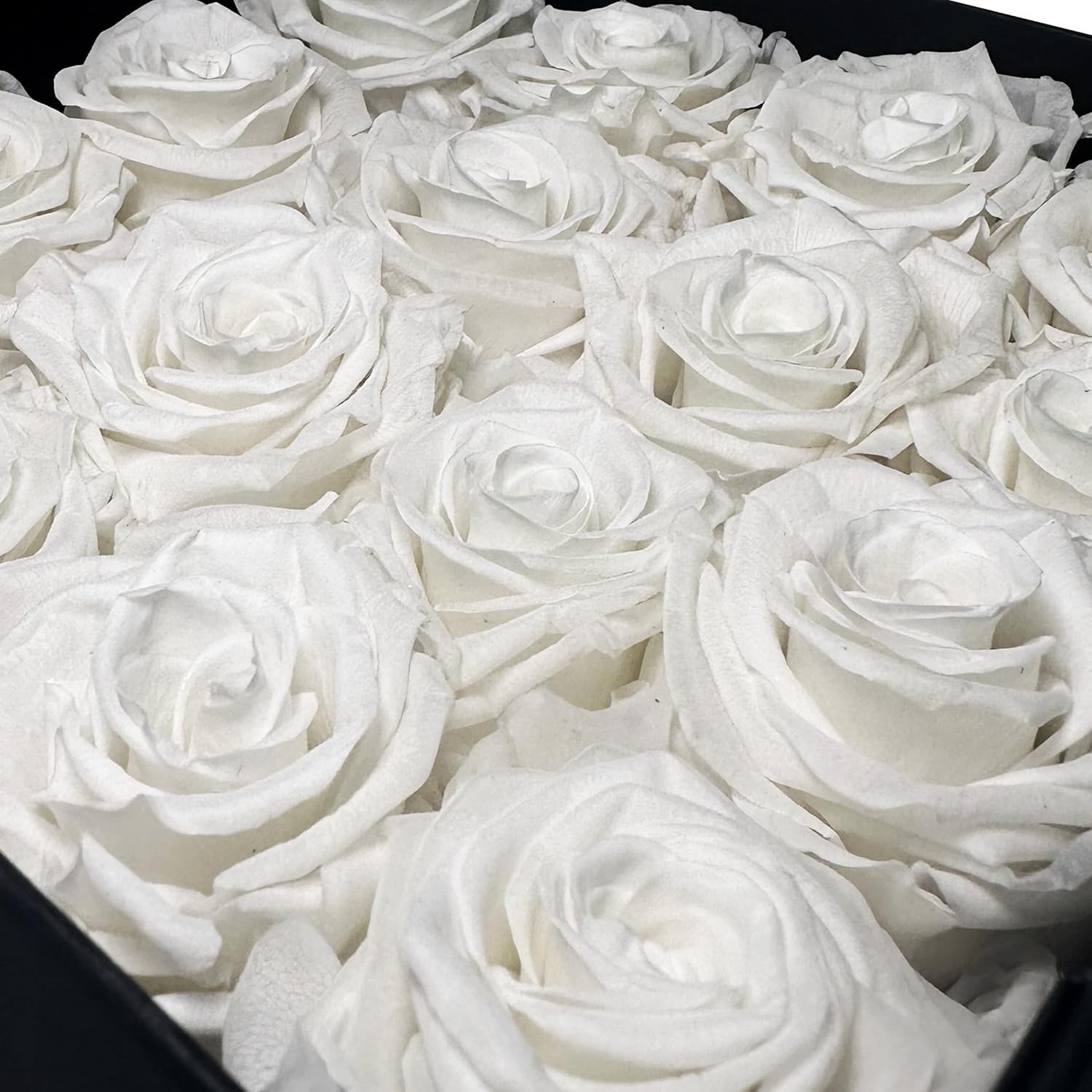 Premium Real Preserved Roses 16 PCS 100% Real White Roses Lasting Up to 3 Years