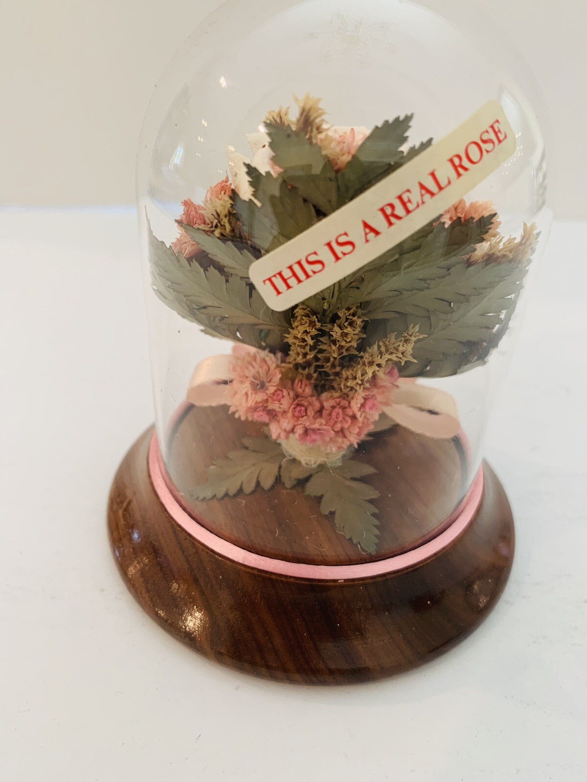Vintage Preserved Real Pink Roses in Glass Case *4 in x 5 in*