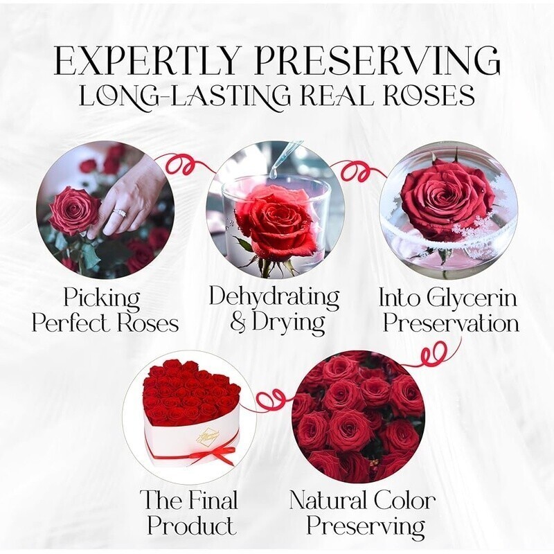 Preserved Roses in Heart Box Forever Flowers Unique Birthday Gifts Women Red New