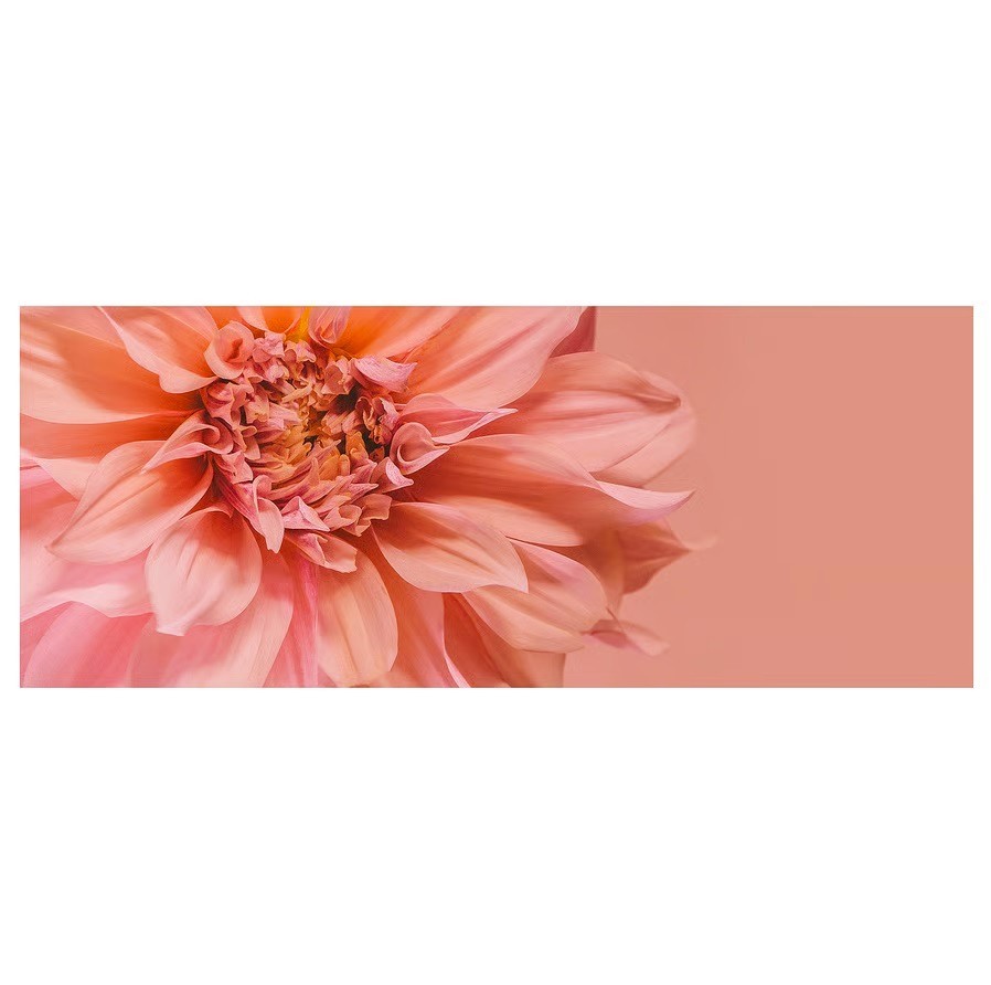 IKEA BJORKSTA Picture Flowers-in Pink 55×22″ (Canvas Only) New