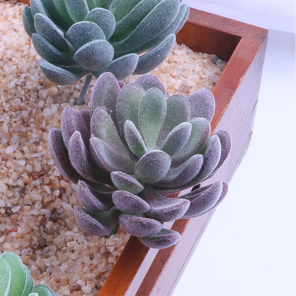 6Pcs Premium PVC Simulated Succulent Plants Lifelike Artificial Decor for Home