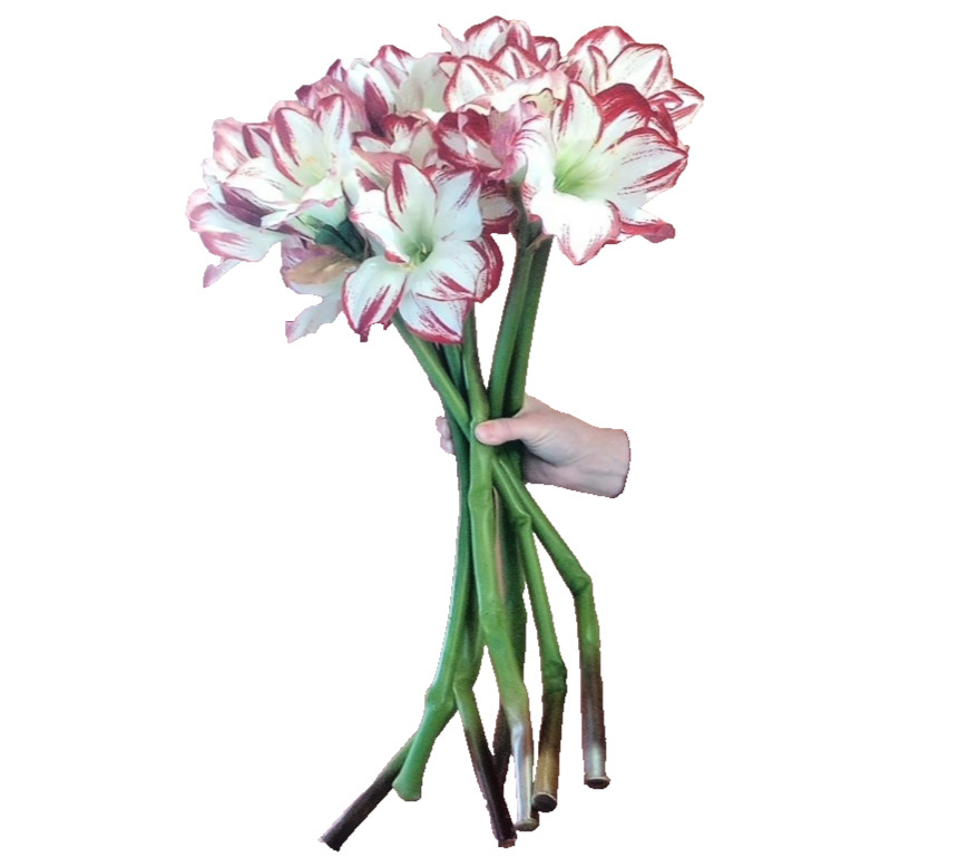 Silk flower Amaryllis Stems 7 Stalks Approximately 29″ Beautiful, Stems AS IS