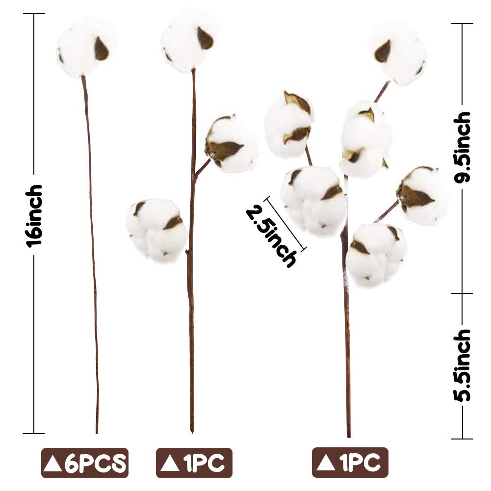 DomeStar Cotton Stems 8 Packs with 15 Bolls, Natural Dried Flowers White