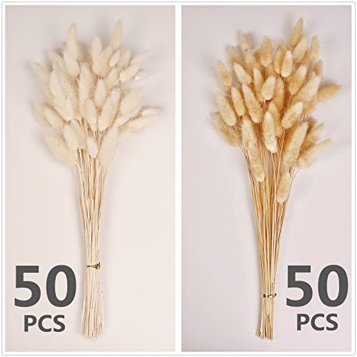 100 PCS Bunny Tails Dried Flowers, Dried Pampas Grass Bouquet, Boho Table Decor,