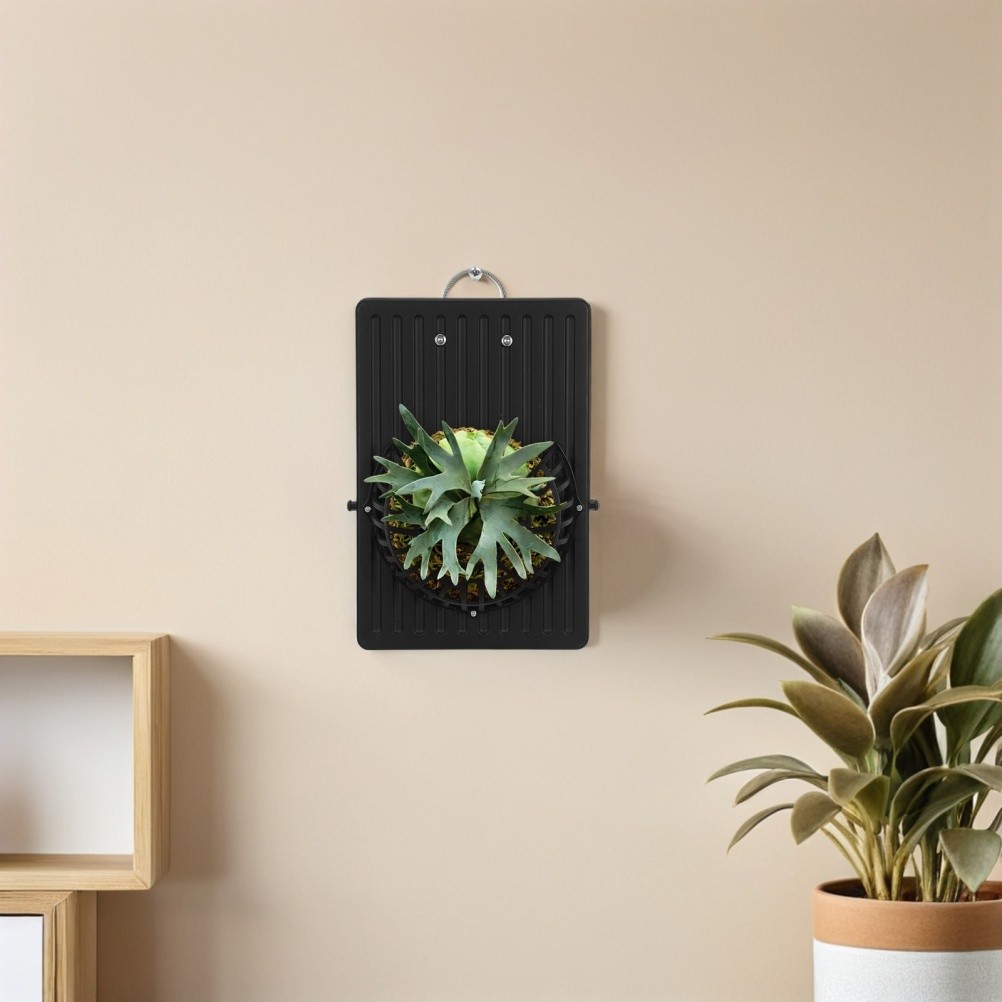 Fern Mounting Board: Wall Hanging Planter for Stag Horn Fern – Vertical Plant