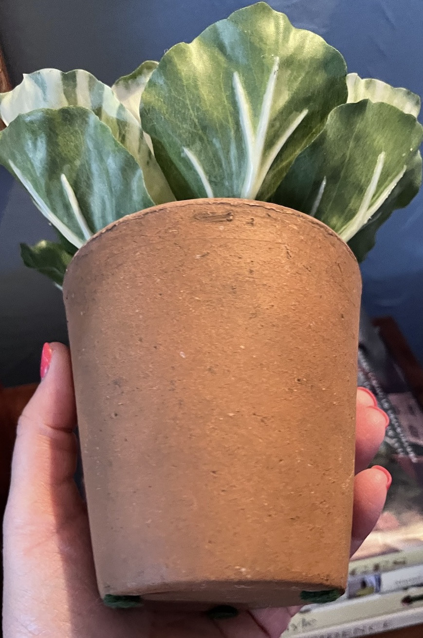 Realistic Potted Cabbage Plastic Ceramic Pot Garden Spring Easter 7inch Green
