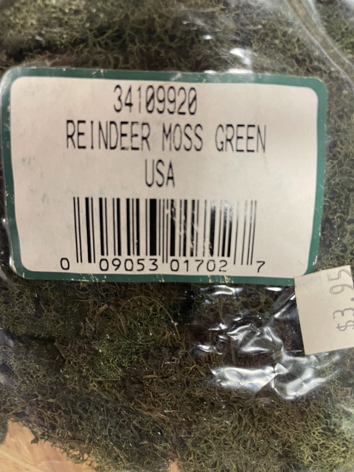 PRESERVED NATURAL REINDEER MOSS GREEN FOR CRAFTS VILLAGES & RAILROAD DISPLAYS