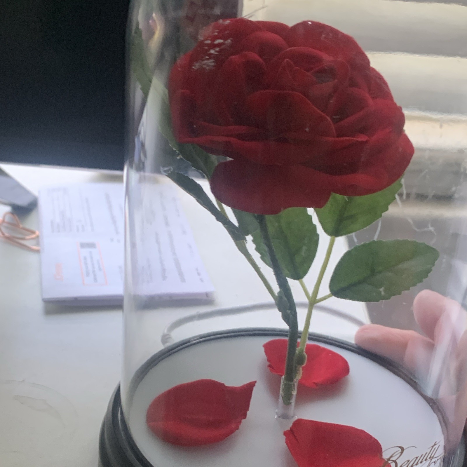 Artificial Red Rose in Clear Glass Dome w/ Black Base Beauty and the Beast Decor