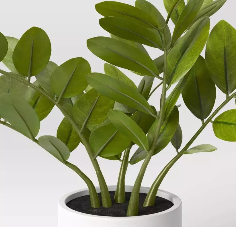 Threshold Tabletop Arrangement 15″ Zamioculcas Zamiifolia Faux Plant