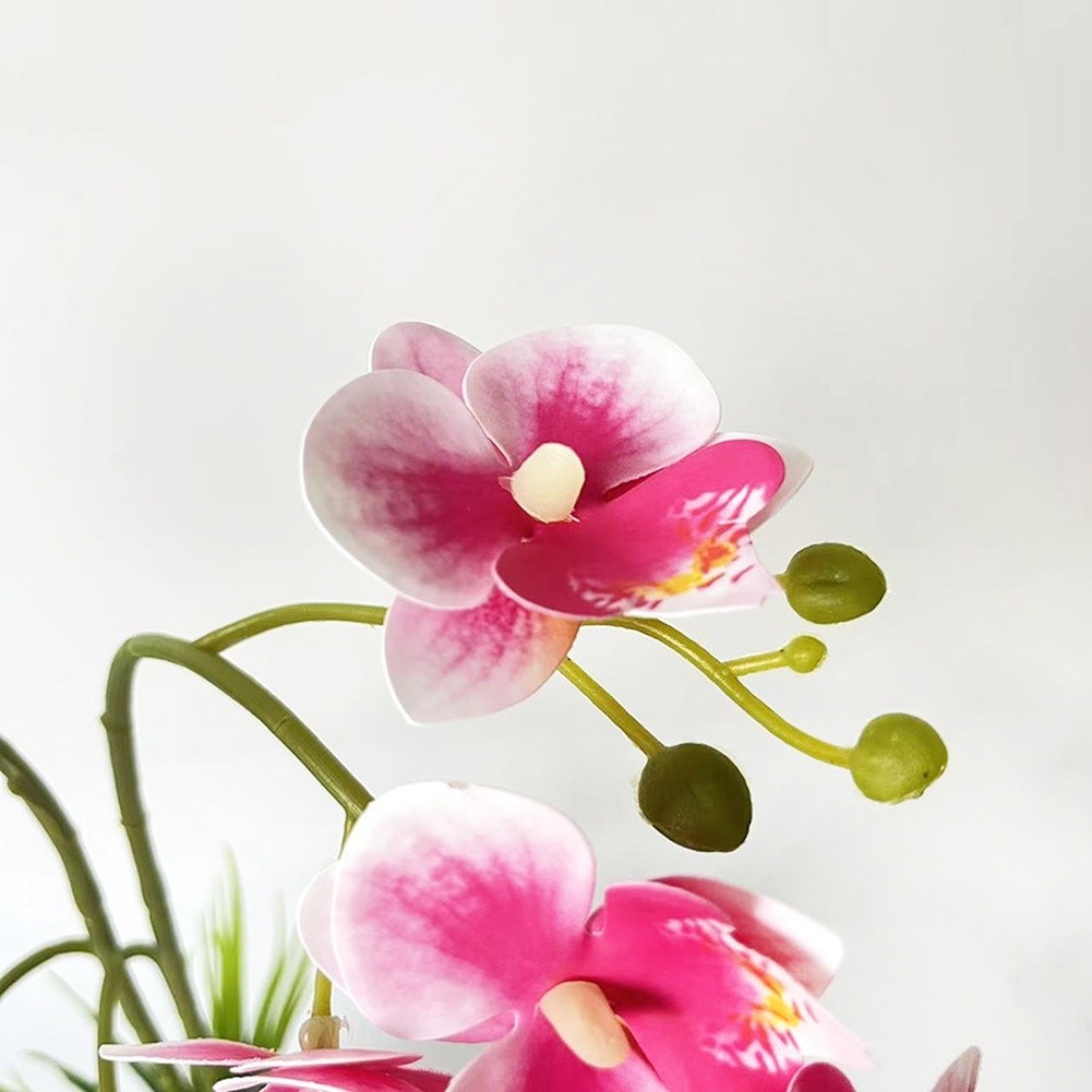 24-Head Artificial Orchid with Delicate Buds and Leaves in Speckled Pot