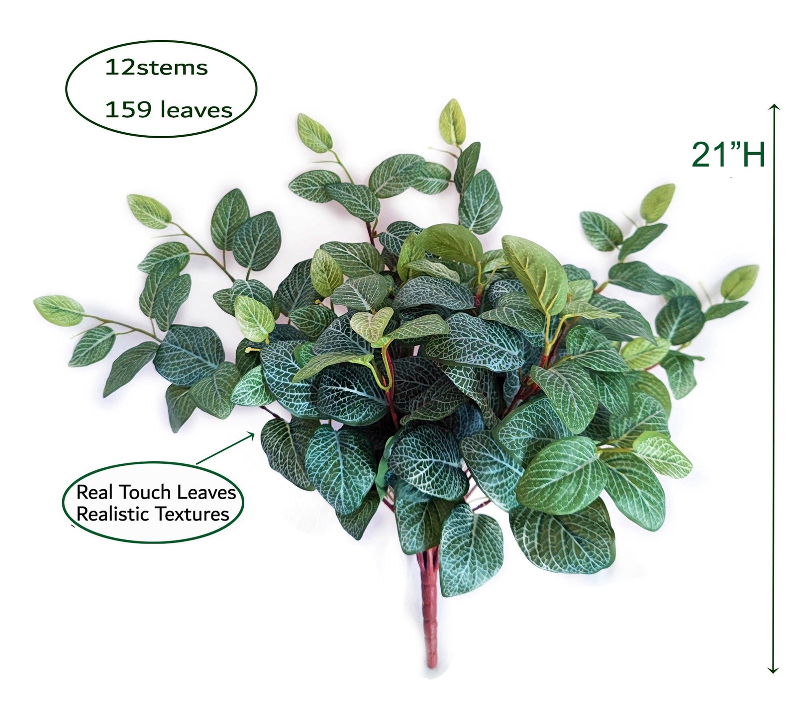 21″H Fittonia Leaf (Real Touch) Hanging Bush, 12 stems, 159 leaves