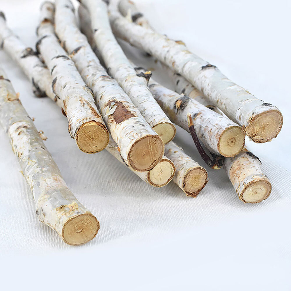1PC Natural Dried Tree Branch Birch Stick Flower Home Garden Party Floral Decor
