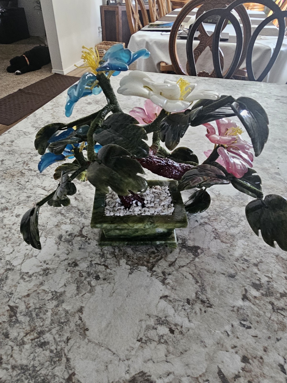 Chinese Colorful Jade Peony Plant
