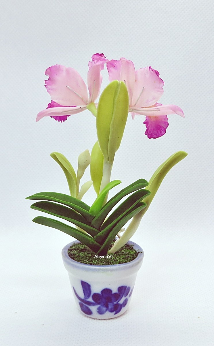 US Stock 4″H Handmade Miniature Air-Dry-Clay-Crafted Catalunya Orchid Arranged.