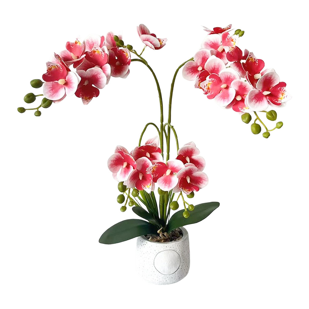 24-Head Artificial Orchid with Delicate Buds and Leaves in Speckled Pot