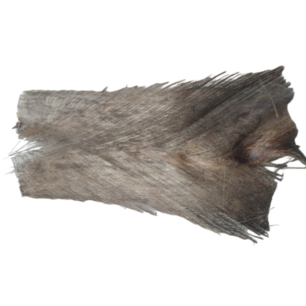 Coconut Tree Spathe for DIY Home Decorations 100% natural organic Free Shipping