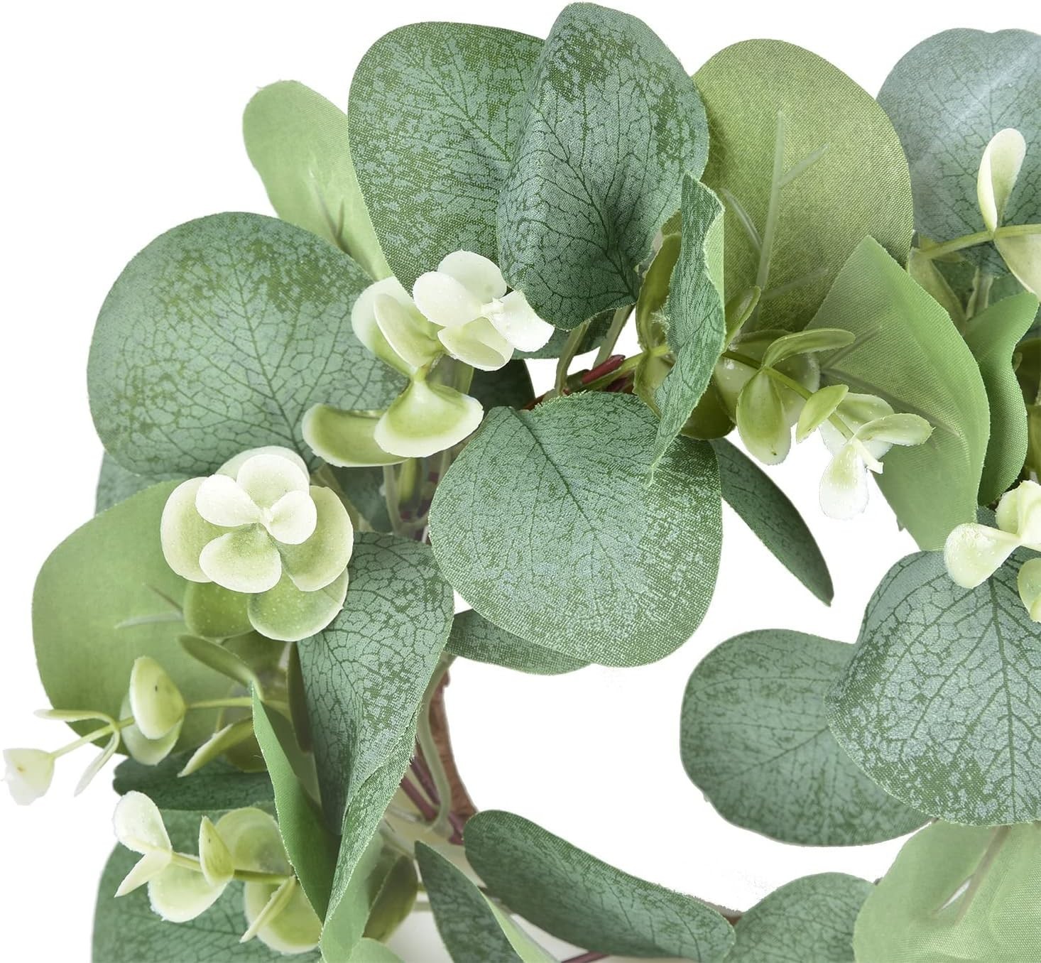 Versatile Eucalyptus Wreaths 2-Piece Set – Beautiful Indoor/Outdoor Decor