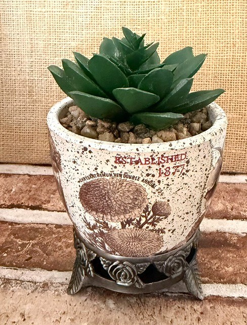 SMALL ARTIFICIAL SUCCULENT PLANT SHELF-SITTER DESK-TOP DECOR DORM ACCESSORY