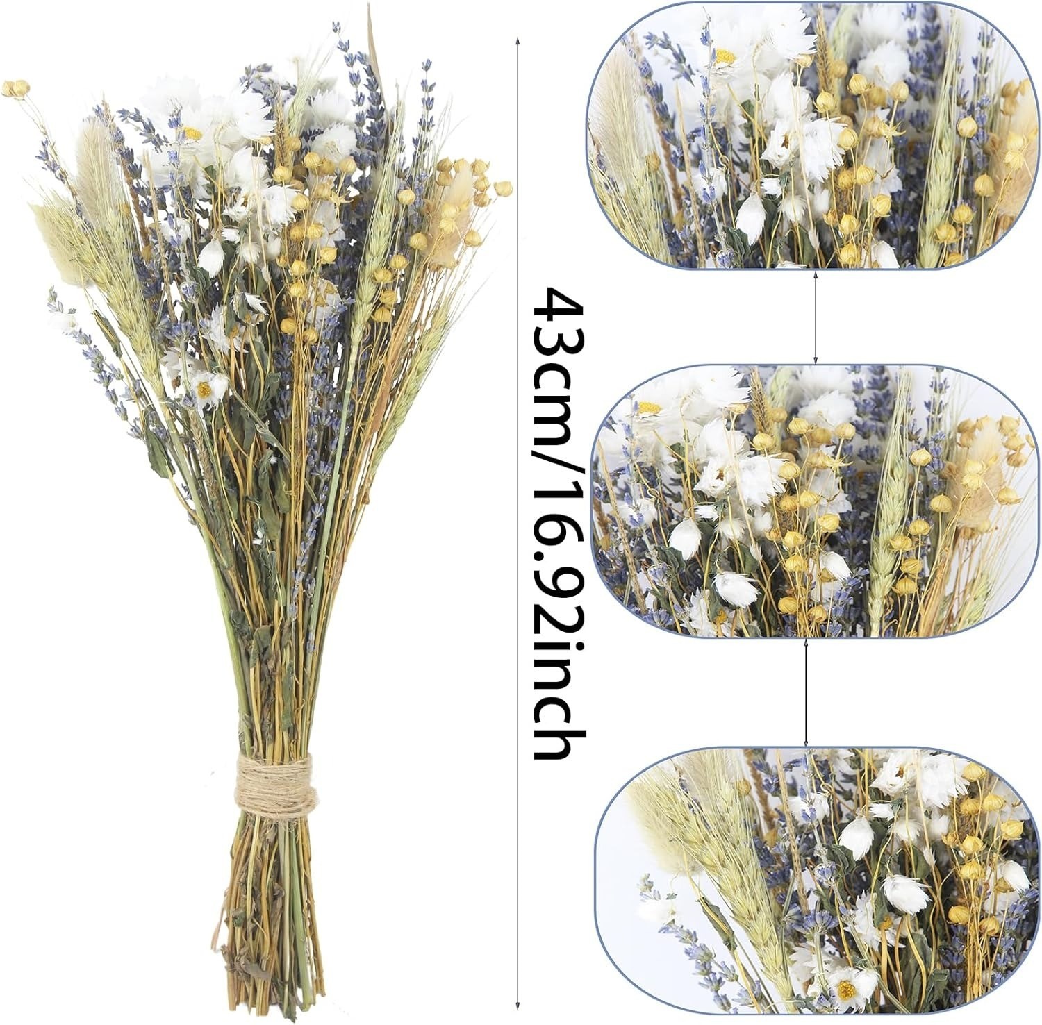 Dried Flower Bouquet Natural Lavender Daisy Bunny Tails Wheat Decor 17in